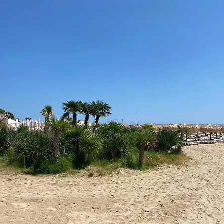 아파트 Horizon 33 'б' 스베티 블라스